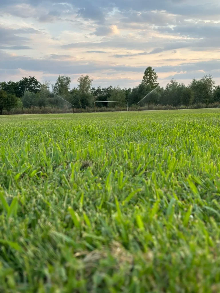 CSViitorulAdanca 4 768x1024