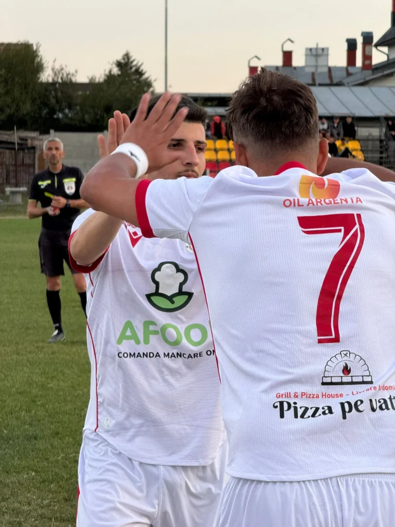 ProgresulPalanca 2 768x1024