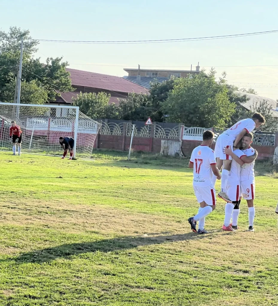 ProgresulPalanca 4 929x1024