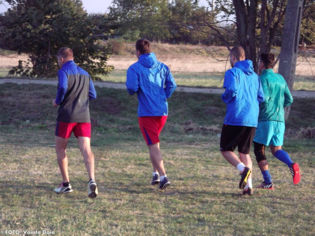 Vointa Daia 3 1024x768