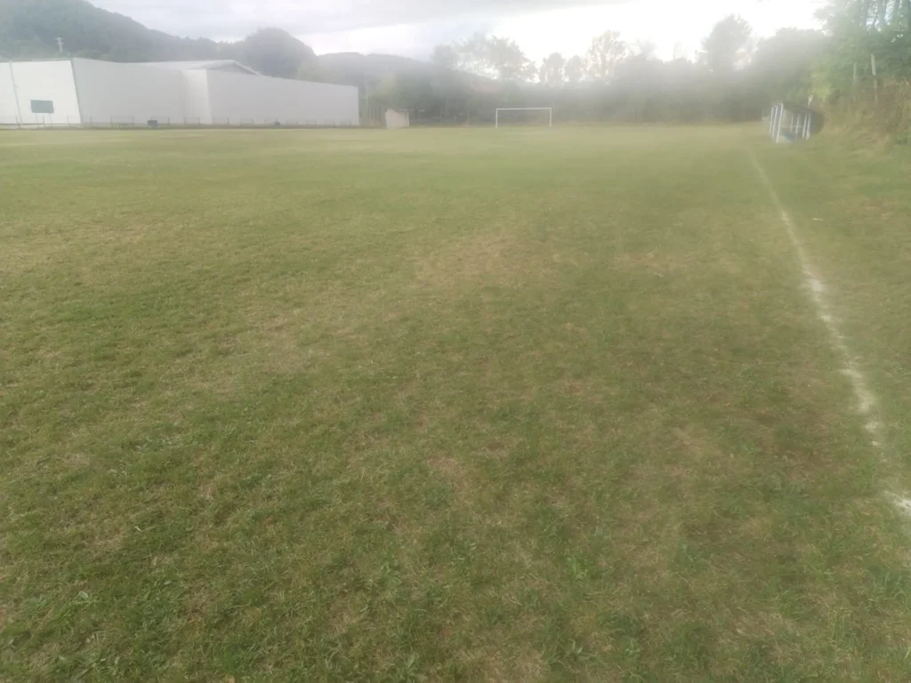 VointaBuciumeni 7 1024x768