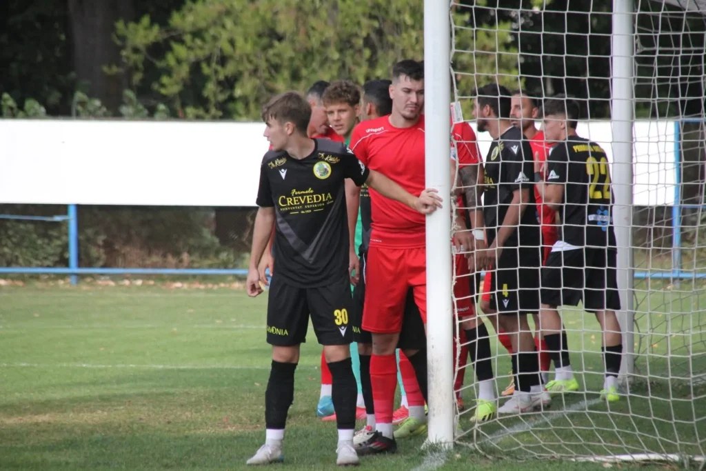 VointaCrevedia 6 1024x683