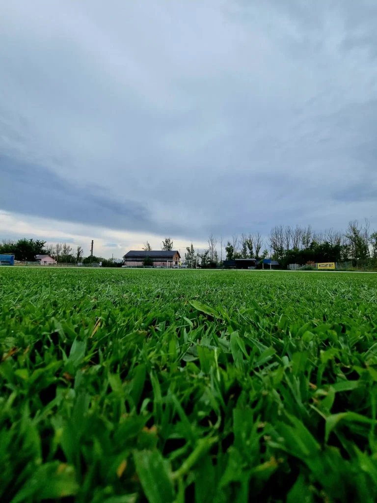 afcstiintafinta 5 768x1024