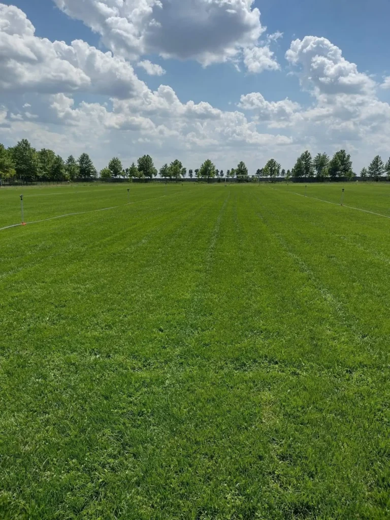 ACSDunareaGropeni 5 768x1024