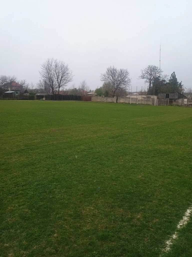 ASVulturulTopliceni 4 768x1024