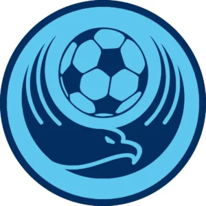 CSEnergiaVulturu2012 logo sigla 300x300