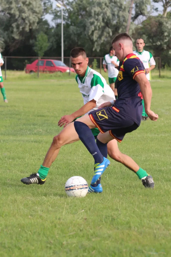 CSVointaBaltaAlba 7 685x1024