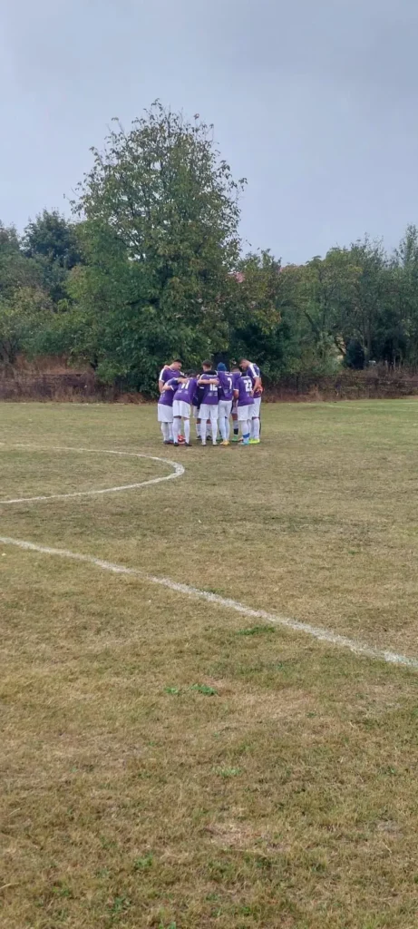 ACSVulturiiVulturesti 5 461x1024