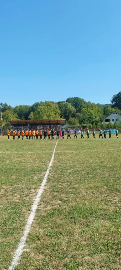 ACSVulturiiVulturesti 6 461x1024