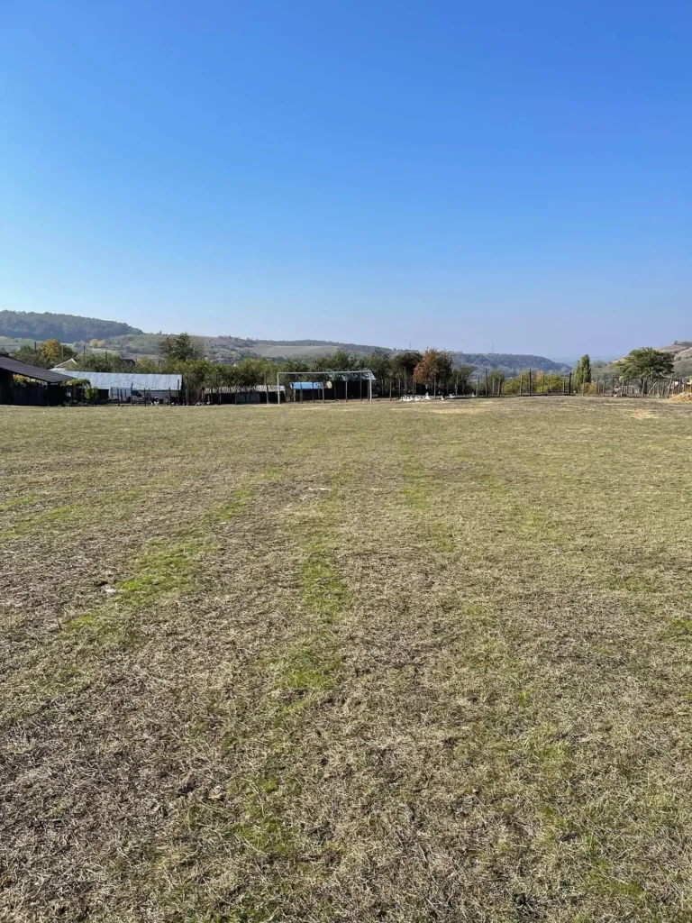 ASCosusteaCazanesti 1 768x1024