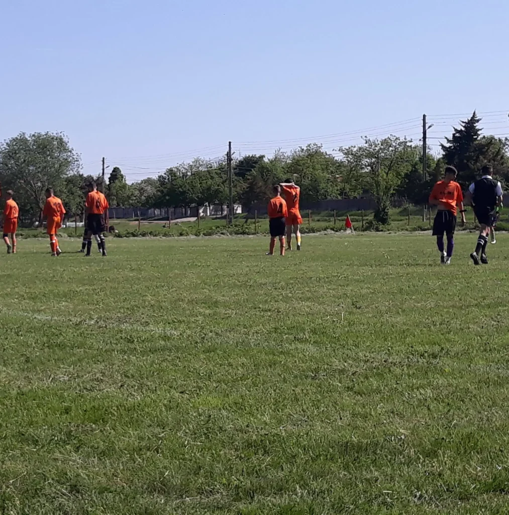 ASViitorulDidesti 5 1013x1024