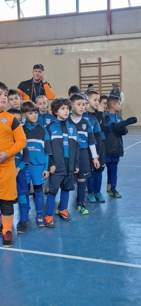 CSSDrobeta TurnuSeverin 6 473x1024