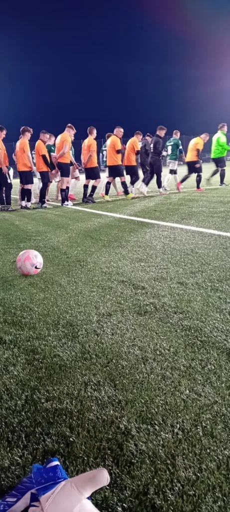 ViitorulBudesti 6 461x1024